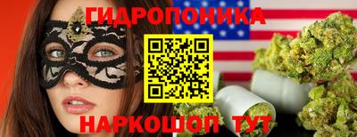 гашик Белореченск