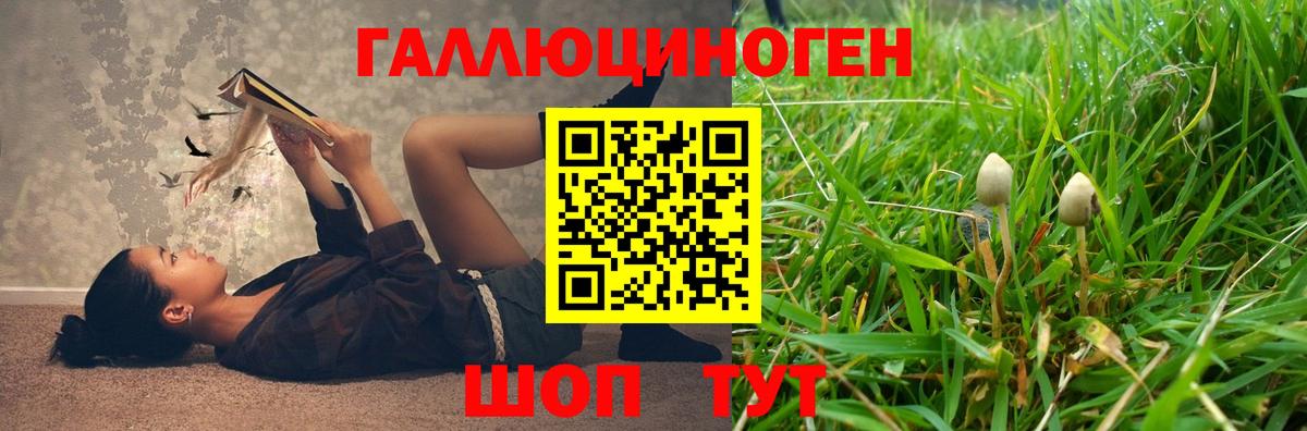 сколько стоит  Вход с VPN  Алейск  Галлюциногенные грибы прущие грибы 